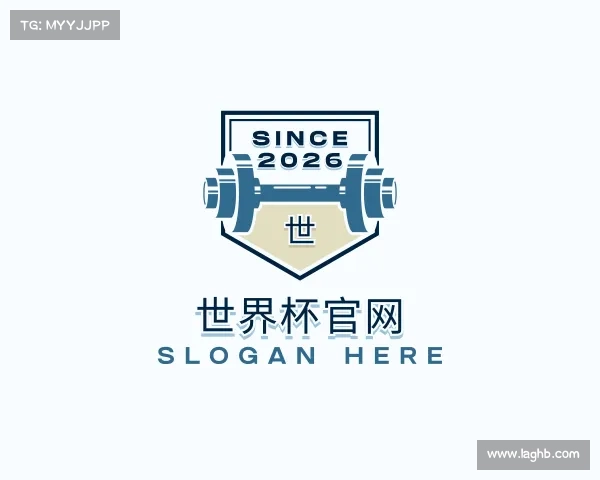 关于世界杯官网